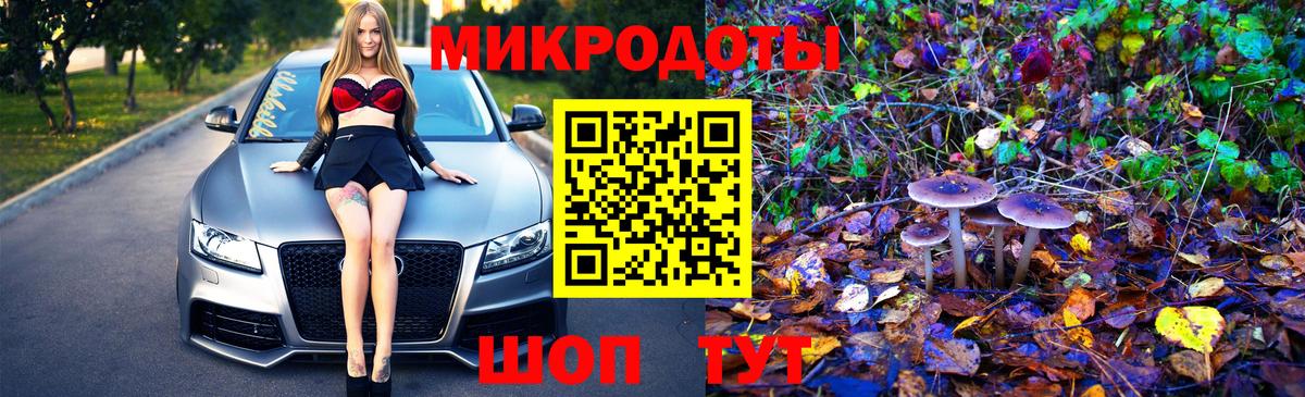 Псилоцибиновые грибы Cubensis  Псилоцибиновые грибы Cubensis  Вход с VPN  Новокуйбышевск 