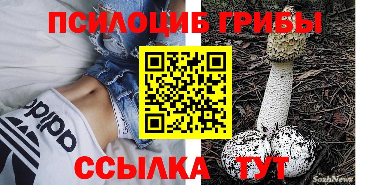 Галлюциногенные грибы мицелий Новокуйбышевск